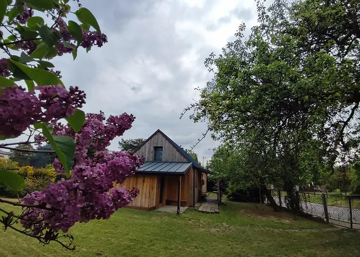 فيلة Trafo Dom - 74